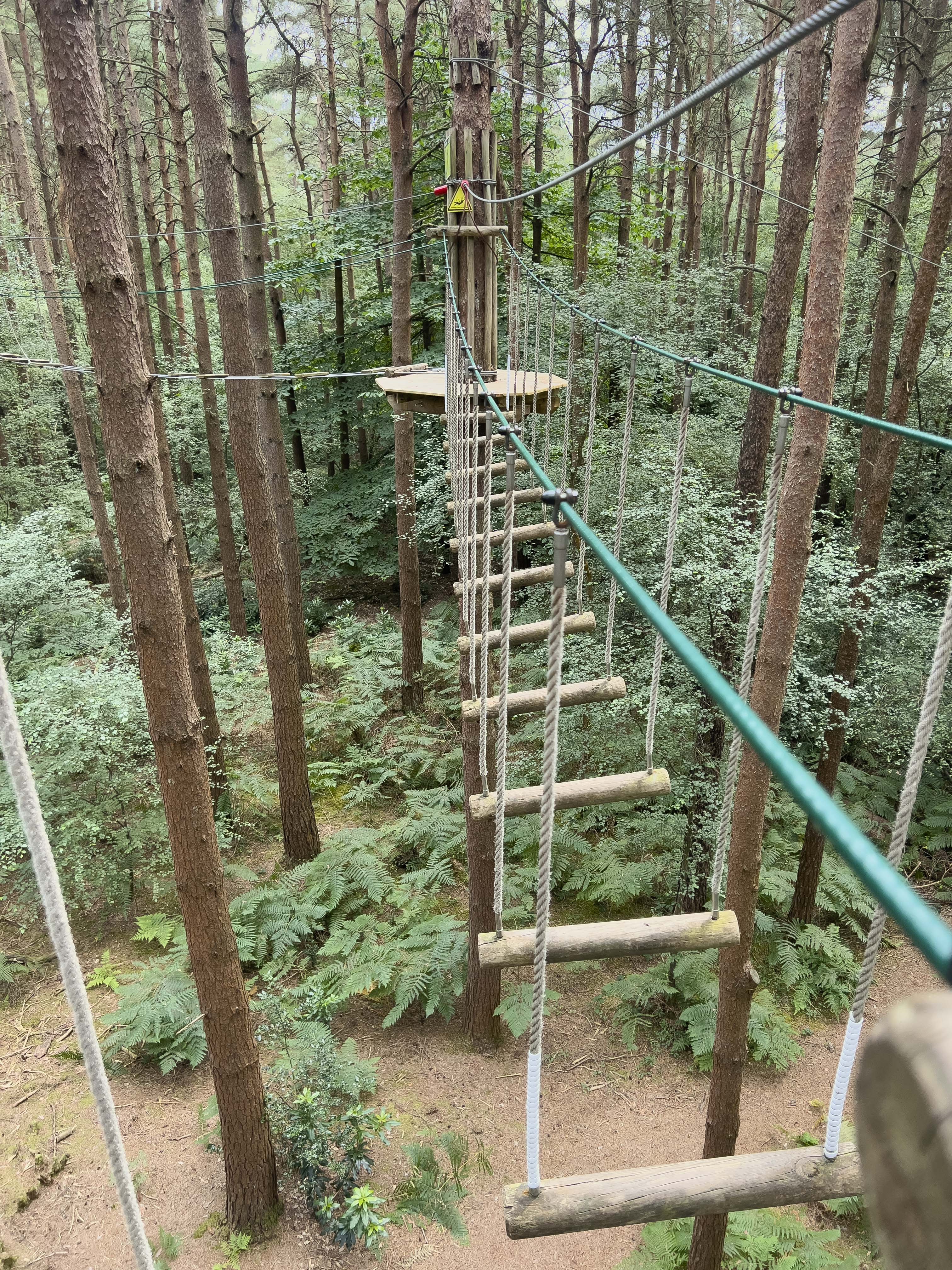 GoApe obstacles